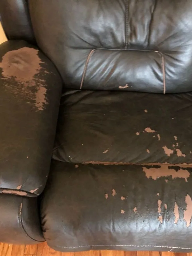 Technician inspecting peeling bonded leather sofa before repair or reupholstery.