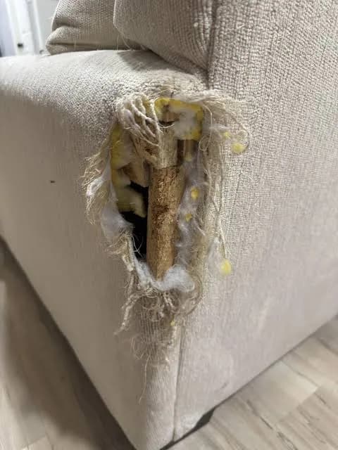 Fabric Upholstery Repair: What Can Be Repaired Without Full Reupholstery?