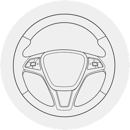 Steering Wheels